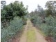 230 Dairy Flat Road, Hay Flat SA 5204