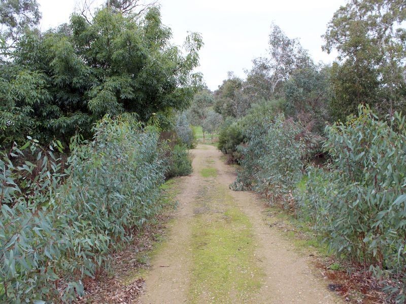 230 Dairy Flat Road, Hay Flat SA 5204
