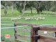 230 Dairy Flat Road, Hay Flat SA 5204