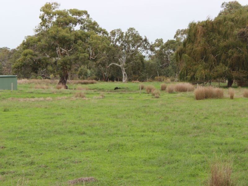 230 Dairy Flat Road, Hay Flat SA 5204