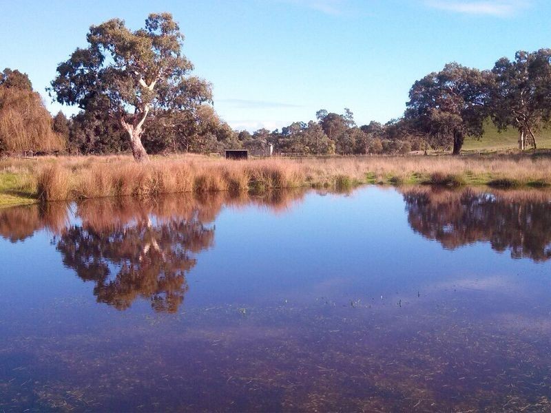230 Dairy Flat Road, Hay Flat SA 5204