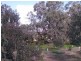 230 Dairy Flat Road, Hay Flat SA 5204