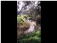 230 Dairy Flat Road, Hay Flat SA 5204