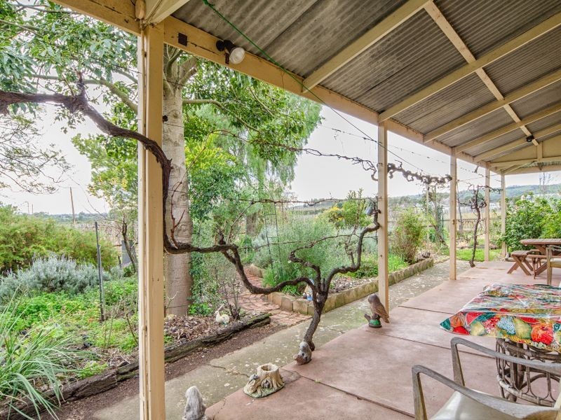 20 McLaren Flat Road, Mclaren Flat SA 5171