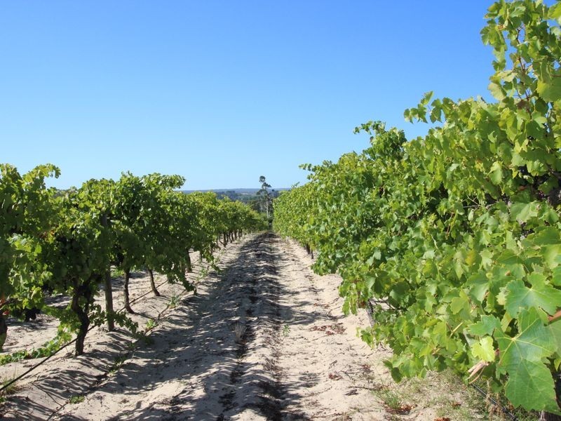 20 McLaren Flat Road, Mclaren Flat SA 5171