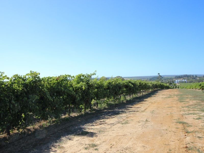 20 McLaren Flat Road, Mclaren Flat SA 5171