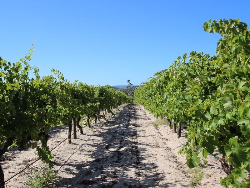 20 McLaren Flat Road, Mclaren Flat SA 5171