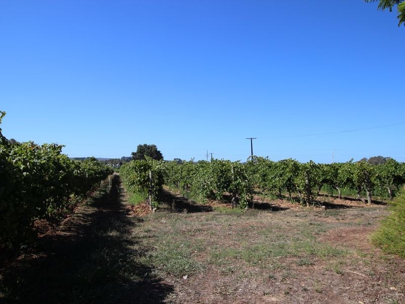 20 McLaren Flat Road, Mclaren Flat SA 5171