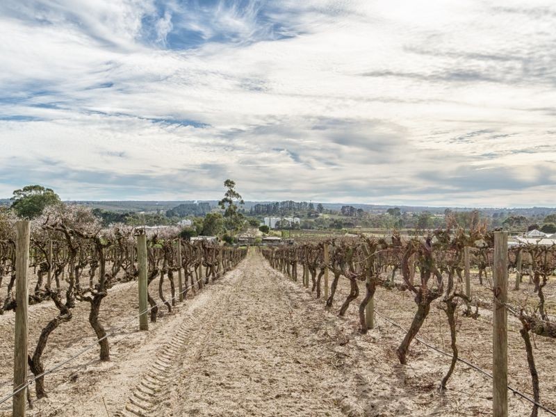 20 McLaren Flat Road, Mclaren Flat SA 5171