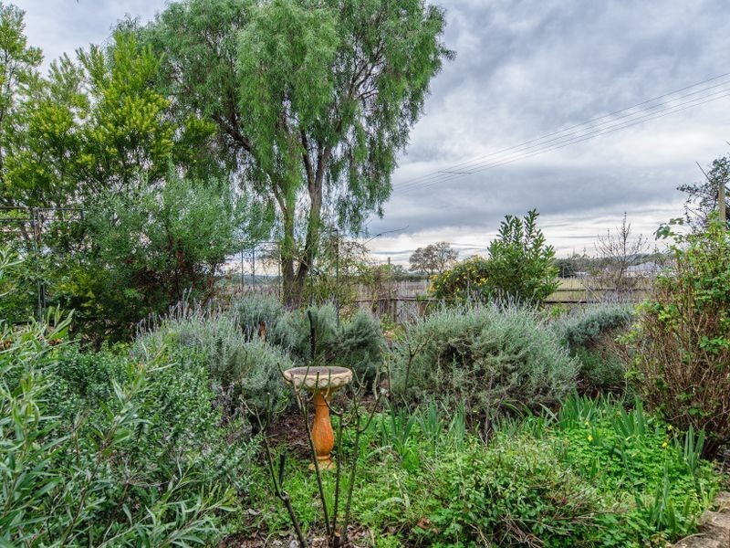 20 McLaren Flat Road, Mclaren Flat SA 5171