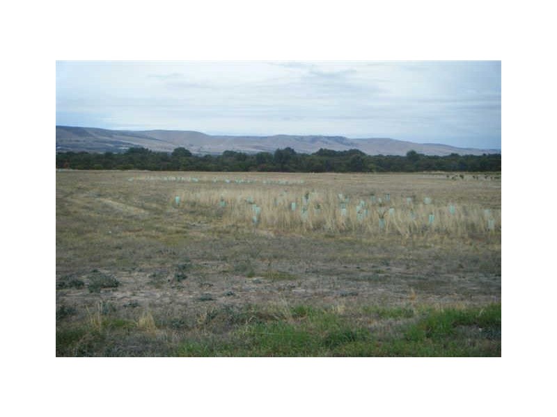 2 Teal Close, Aldinga Beach SA 5173