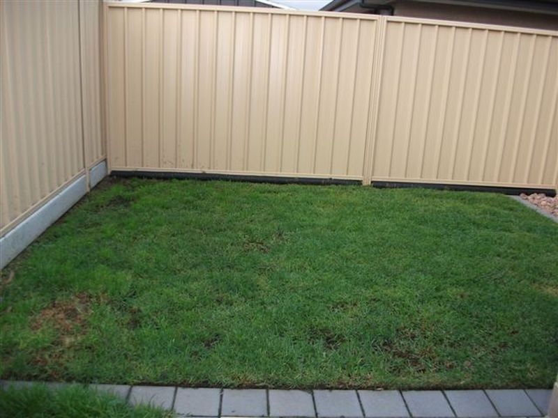 8 Navigation Street, Seaford Meadows SA 5169