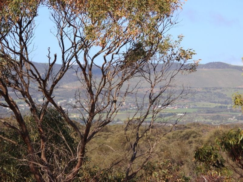 16/209 Esplanade, Aldinga Beach SA 5173