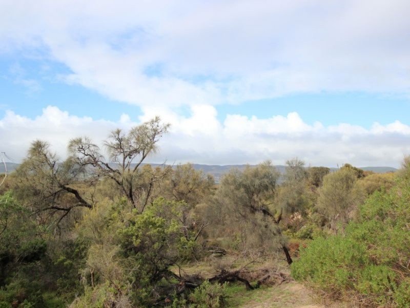 16/209 Esplanade, Aldinga Beach SA 5173