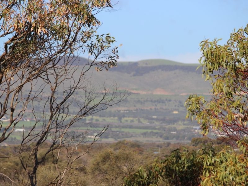 16/209 Esplanade, Aldinga Beach SA 5173