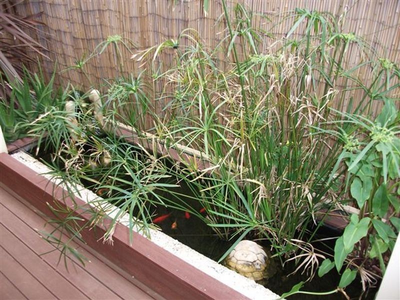 50 Kipsy Street, Aldinga Beach SA 5173