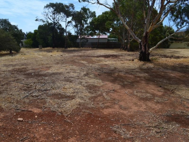 20 Hastings Avenue, Sellicks Beach SA 5174