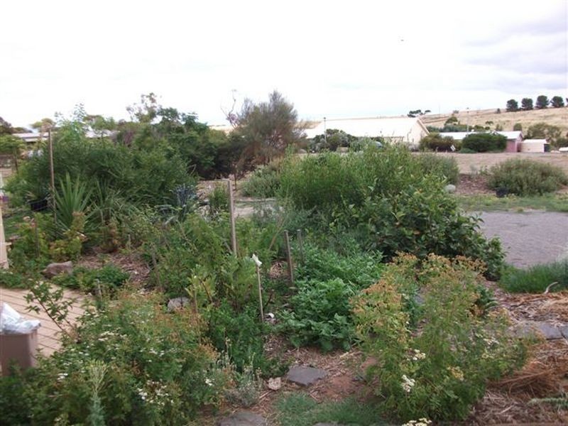 9 Tetragonia Walk, Aldinga Beach SA 5173