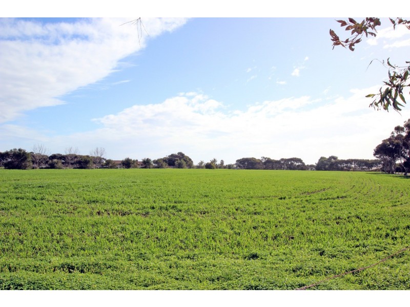 79 Tuit Road, Maslin Beach SA 5170