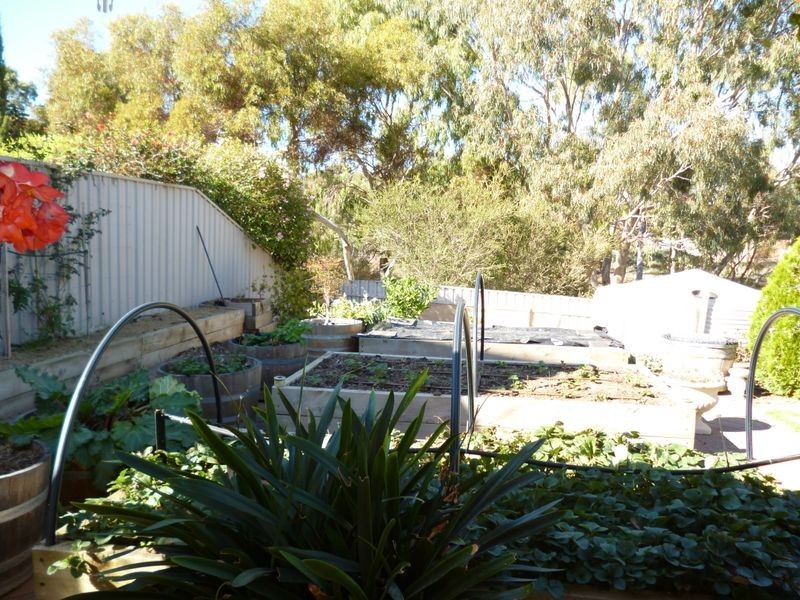 19 Cove Circuit, Seaford Rise SA 5169