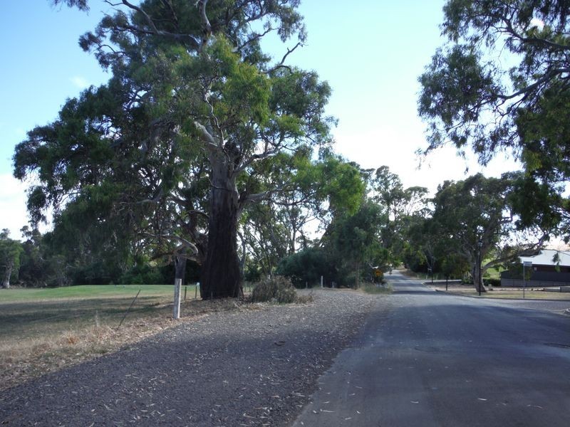 14 Hall Road, Willunga SA 5172