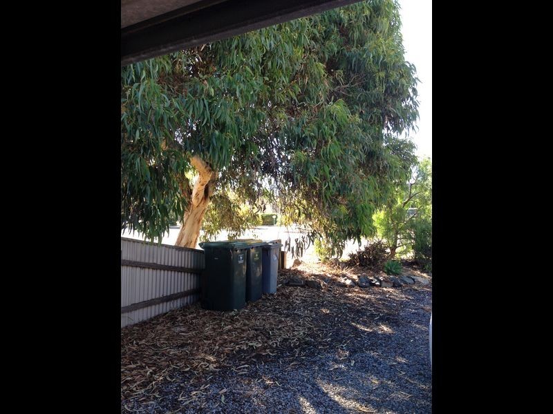 52 Gordon Street, Aldinga Beach SA 5173