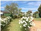 8 Flinders Avenue, Seaford SA 5169