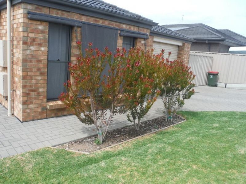 3 Busselton Road, Seaford Rise SA 5169