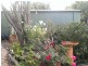 17 Haven Avenue, Seaford SA 5169