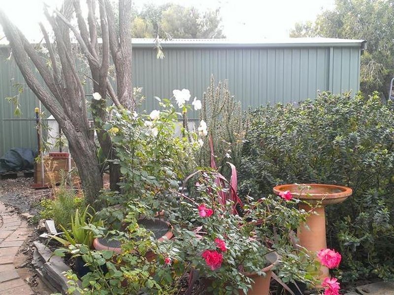 17 Haven Avenue, Seaford SA 5169
