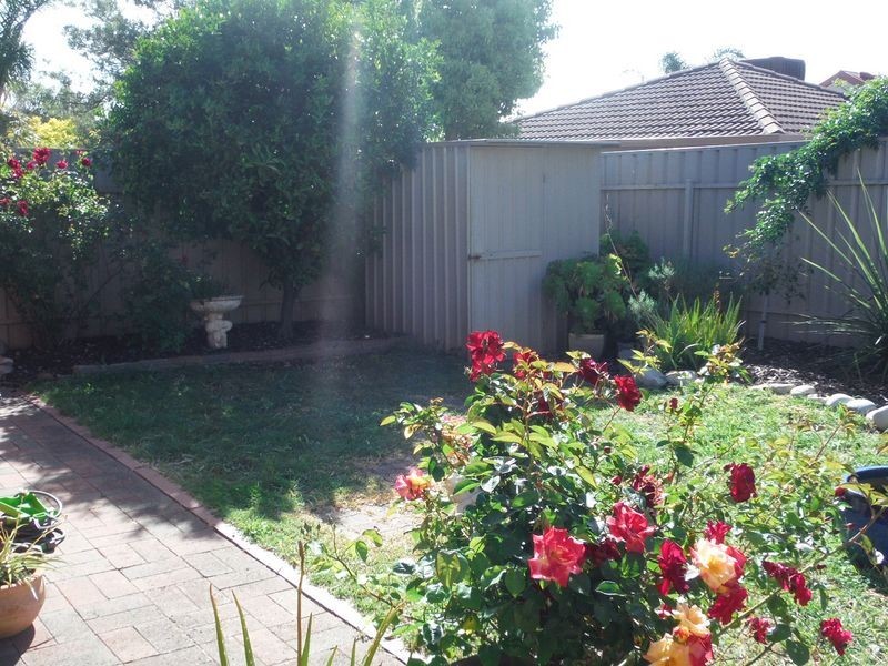 16 Pitcairn Circuit, Seaford Rise SA 5169