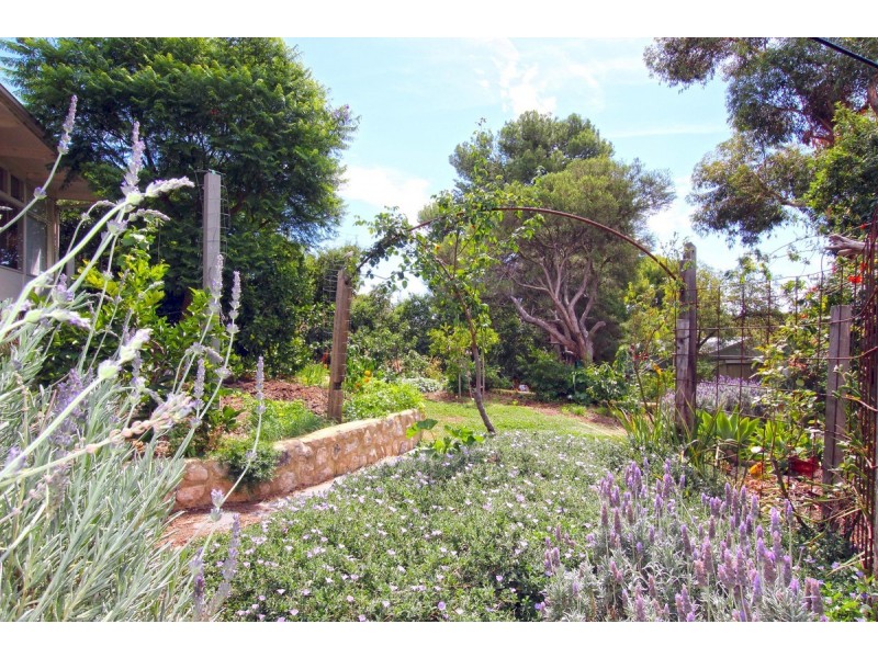 39 Port Road, Port Willunga SA 5173