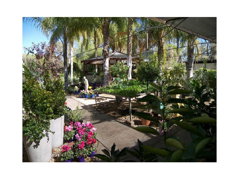 Alice Springs Nursery, Alice Springs NT 0870