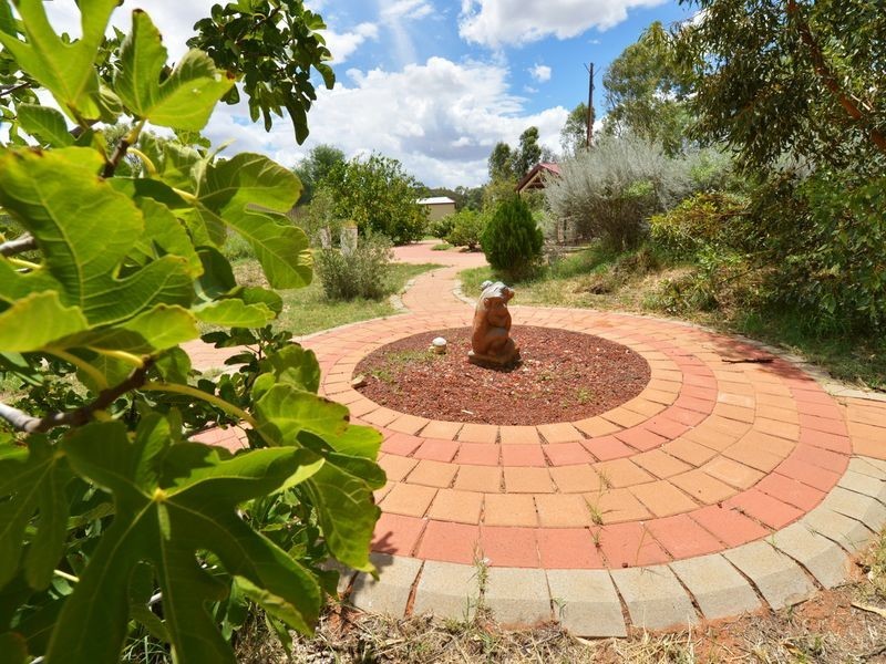 66 Ragonesi Road, Alice Springs NT 0870