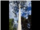 107 Heath Road, Alice Springs NT 0870