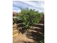 16/92 Barrett Drive, Desert Springs NT 0870