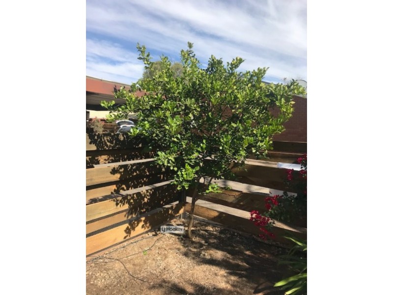 16/92 Barrett Drive, Desert Springs NT 0870