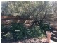 16/92 Barrett Drive, Desert Springs NT 0870