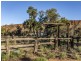 1075 Ilparpa Road, White Gums NT 0870
