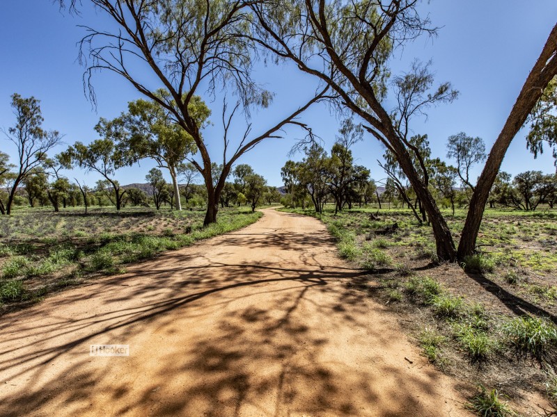 1075 Ilparpa Road, White Gums NT 0870