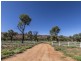 1075 Ilparpa Road, White Gums NT 0870