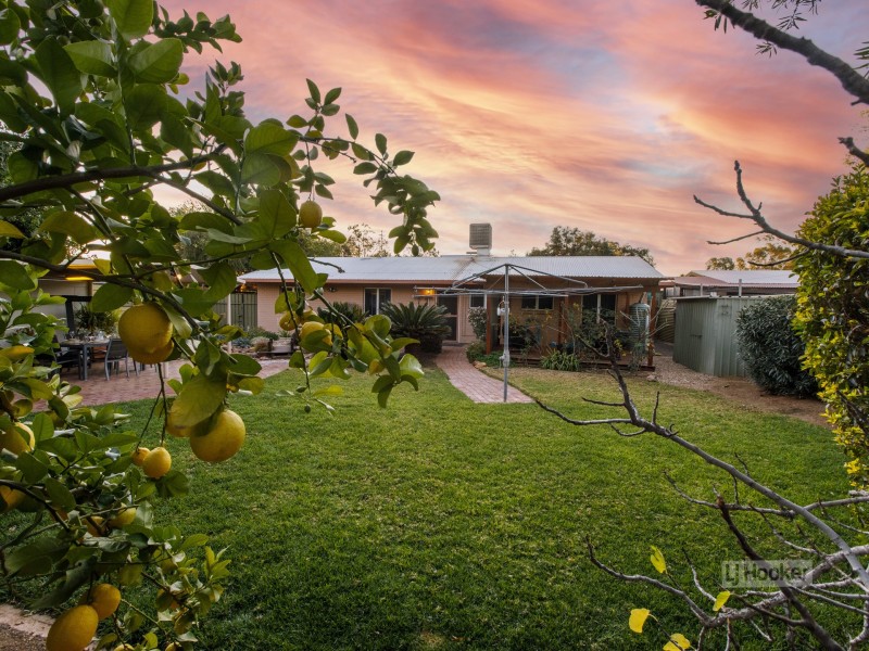 61 Plumbago Crescent, Sadadeen NT 0870