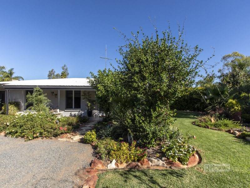 12 Plumbago Crescent, Sadadeen NT 0870