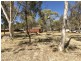 53 Ross Highway, Ross NT 0870