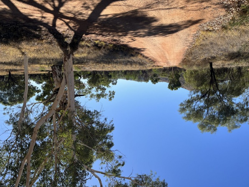 Lot 6811/69 Bullen Road, White Gums NT 0870