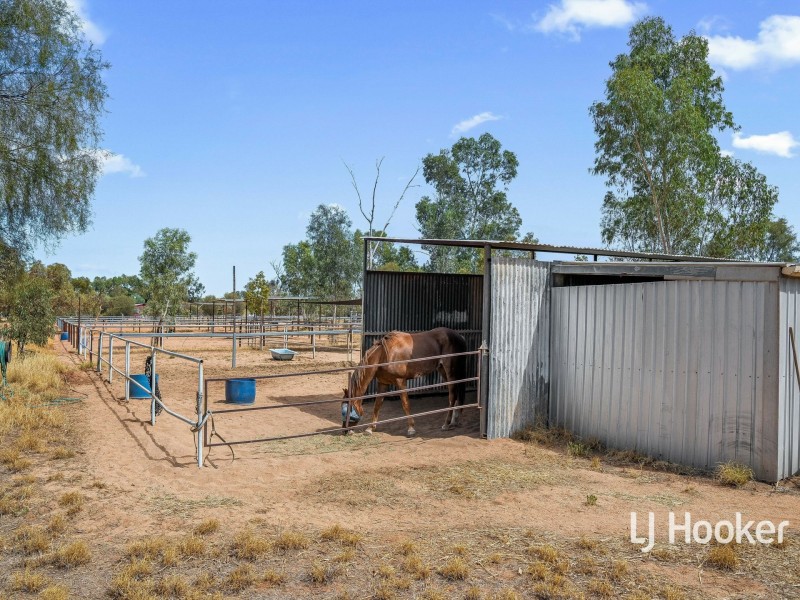 28 Fuchsia Road, Connellan NT 0870