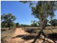 Lot 6811/69 Bullen Rd, White Gums NT 0870