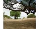 Lot 70 Helbig Drive, Blanchetown SA 5357