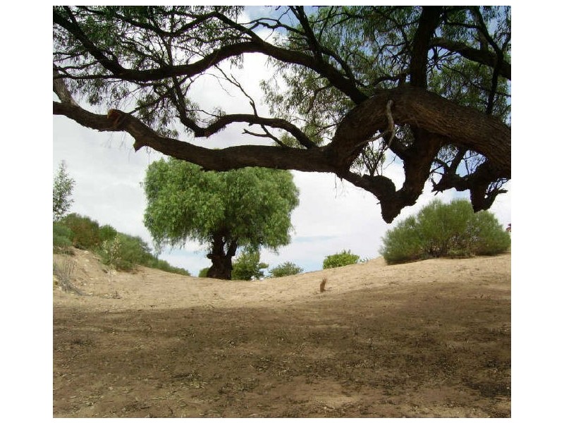 Lot 70 Helbig Drive, Blanchetown SA 5357