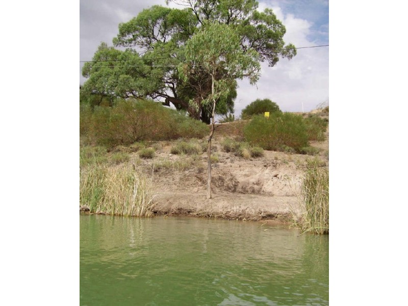 Lot 70 Helbig Drive, Blanchetown SA 5357